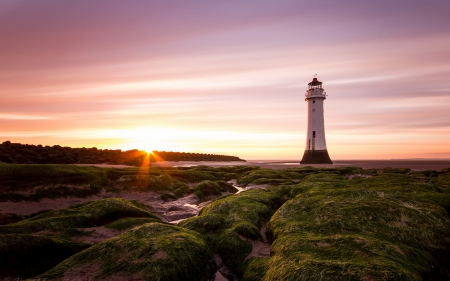 Light House - house, nature, sun, light