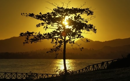 Sunset Tree - mountains, sky, lake, sun