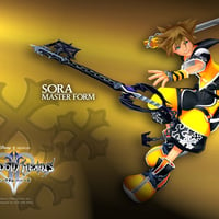 Sora Master Form