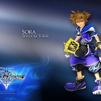 Sora Wisdom Form