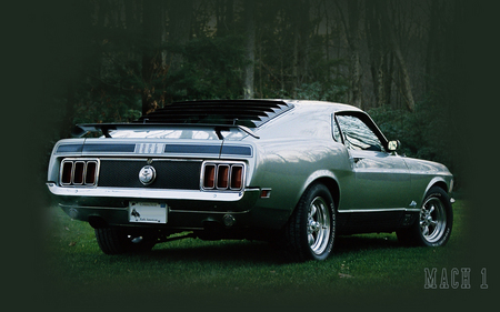 Untitled Wallpaper - netc, ford, mustang, mach1