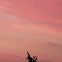 Painted Clouds