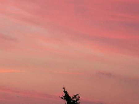 Painted Clouds - sunset colors, sky, clouds