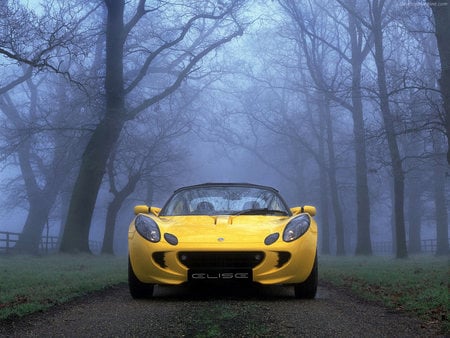 Yelllow Lotus Elise Front Head-On - lotus, lotus elise, yellow, elise, woods