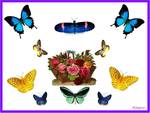 Butterfly Basket