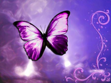 Purple Illusion - purple butterfly, swirls