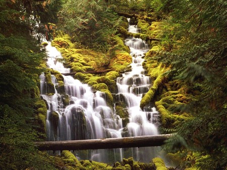 Bridge over moving waters - waterfalls, bridges