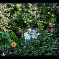 Colors in the garden