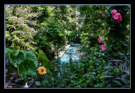 Colors in the garden - gardens, flowers