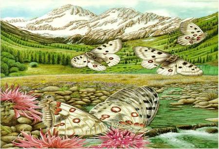 Butterfly Mountains - mountains, art, flowers, butterflies