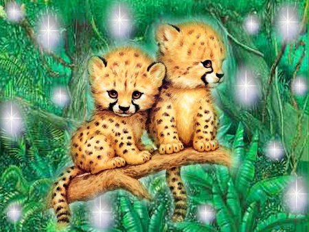 cheeta's - cubs, cheeta