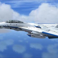 Another Tomcat For Us