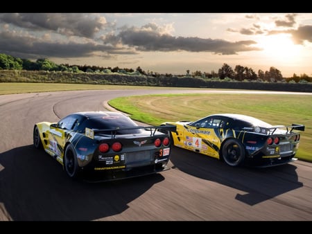 Chevrolet Corvette C6-R GT2 Duo 2009 - chevrolet, c6-r, duo, 2009, gt2, corvette