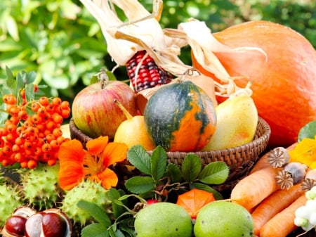 Healthy foods - mountain ash, corn, food, flower, basket, carrots, apples, autumn, chestnuts, pimpkin, vegetables, pears