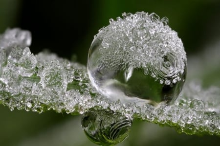 FROSTED RAIN - rain, winter, water, photos, frost, raindrops, water drops, closeup, macro