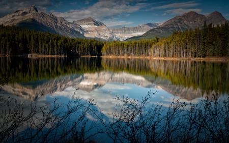 beautiful lake landscape - shrubs, lake, forest, mountains, reflection