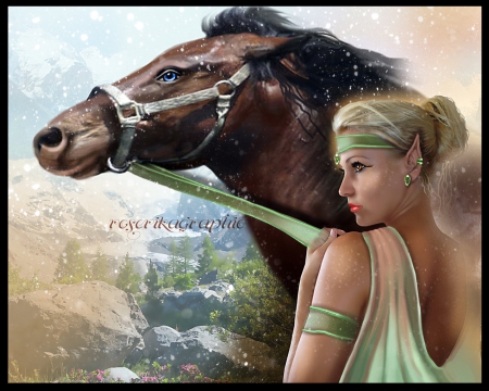 Plans - harmony, abstract, fantasy, fairy, friends, art, horse, wallpaper