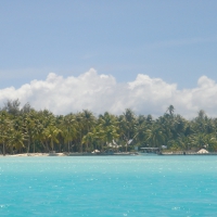 Remote Island
