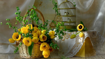 Still Life - flowers, basket, cage, birds