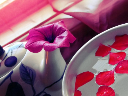 Tea Time - flower, pink, abstract, teatime