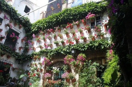 Cordoba's Secret Garden - flowers, secret garden, patio, houses, architecture