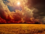 storm-clouds-over-wheat-field