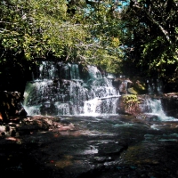 Small river in Ubajara Sierra's Hotel Forest Reserve