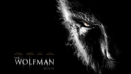 THE WOLFMAN - WOLFMAN, BEAST, HORROR FILM, FULL MOON