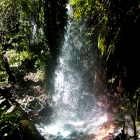 Waterfall in Ubajara Sierra's Hotel Forest Reserve 2