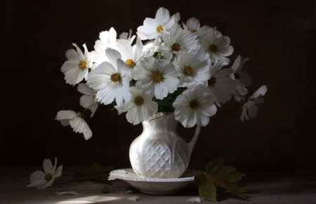 Still Life - flowers, beautiful, vase, white