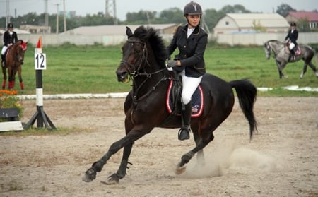 The beauty and the power - beautiful, horse, black, woman