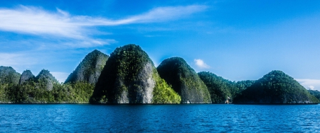 Raja Ampat Islands - ocean, beach, trees, water, tourism, white, domes, archipelago, underwater biodiversity, blue, green