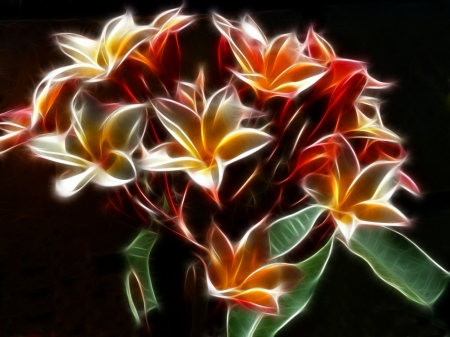 Fractile Plumeria - beauty, fractal, glow, art, abstract, flowers, plumeria