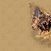 Patriotic Horses 2