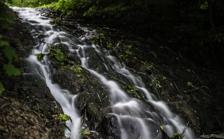 Stream - stream, nature, water, river