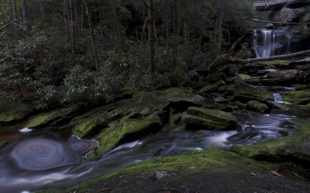 Stream - stream, nature, water, river