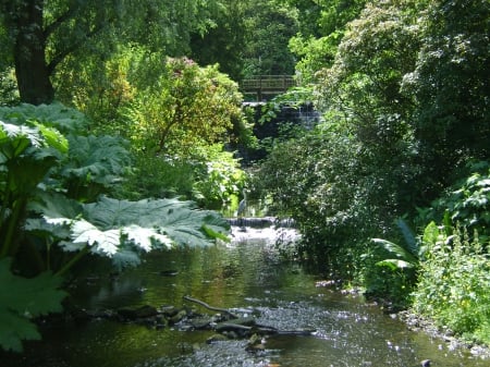 himalayan garden - stream, heron, trees, green