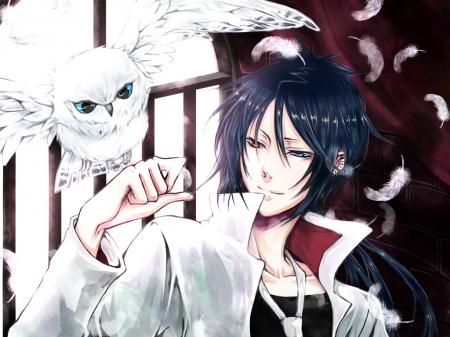 Katekyo no Hitman Reborn - handsome, male, sexy, feathers, blue eye, long hair, blue hair, white owl, animal, anime, katekyo no hitman reborn-rokudo mukuro, owl, smile