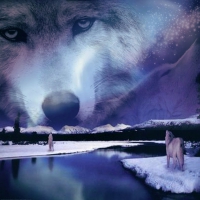 The Spirits of Wolves