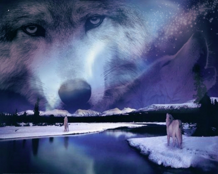 The Spirits of Wolves - nature, spirits, wolves, sky, animals, wild, mountains, fantasy