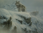 Wolves in the Snow