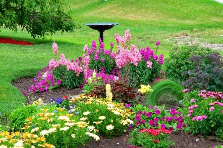 Mix of colorful flowers - pretty, grass, flowers, fresh, garden, nice, mix, greenery, beautiful, lovely, freshness, tree, colorful, nature, green, delight, floral, park