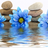 ZEN THEREPY