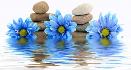 ZEN THEREPY - reflections, baby, blue, water, spa, flowers, daisies, therepy