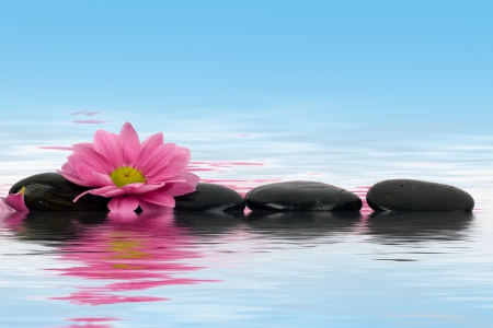 ROW OF STONES - STONES, SPA, FLOWER, PINK, HOT