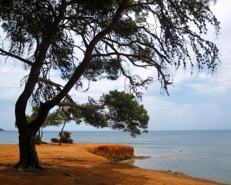 Peaceful - trees, photography, nature, view, abstract, cloud, blue, clouds, red, tree, sea, sand