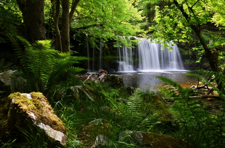 Waterfall - nice, trees, hidden, water, greenery, waterfall, rocks, fall, pretty, green, branches, falling, lovely, exotic, nature, woods, forest, beautiful, leaves, stones