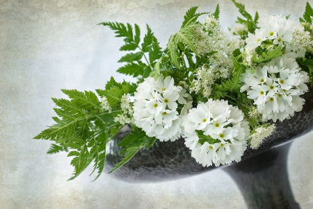 ♥♥♥ Still life ♥♥♥ - still, flowers, white, nature, flower, life