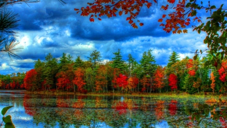 colourful trees with lake - sky, lake, trees, forests, nature, colours, red, blue, green