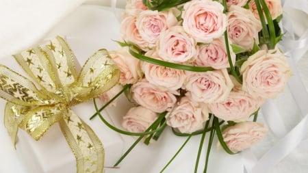 pink roses n gift - flowers, roses, nature, gifts, pink